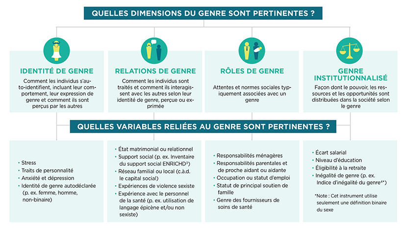 Un organigramme décrivant les dimensions du genre et des exemples de variables liées au genre. En haut du graphique, un texte blanc dans un encadré bleu foncé indique : « Quelles dimensions du genre sont pertinentes ? » Quatre branches s'étendent vers quatre icônes à l'intérieur de cercles turquoise, représentant les dimensions du genre. L'identité de genre est représentée par une personne au genre neutre avec une moustache, portant un collier rose et une jupe blanche. Les relations de genre sont représentées par deux personnes au genre neutre qui se parlent, l'une d’entre elles avec une bulle de dialogue sortant de sa bouche. Les rôles de genre sont représentés par deux personnes au genre neutre. L'une d’entre elles porte une cravate et l'autre tient un bébé enveloppé dans une couverture blanche. Le genre institutionnalisé est représenté par une échelle traditionnelle, avec deux plaques suspendues à un point d'appui. Sous les dimensions du genre, quatre flèches s'étendent vers une liste de variables liées au genre. Au-dessus de cette liste, un texte blanc dans un encadré bleu foncé indique : « Quelles variables liées au genre sont pertinentes ? »