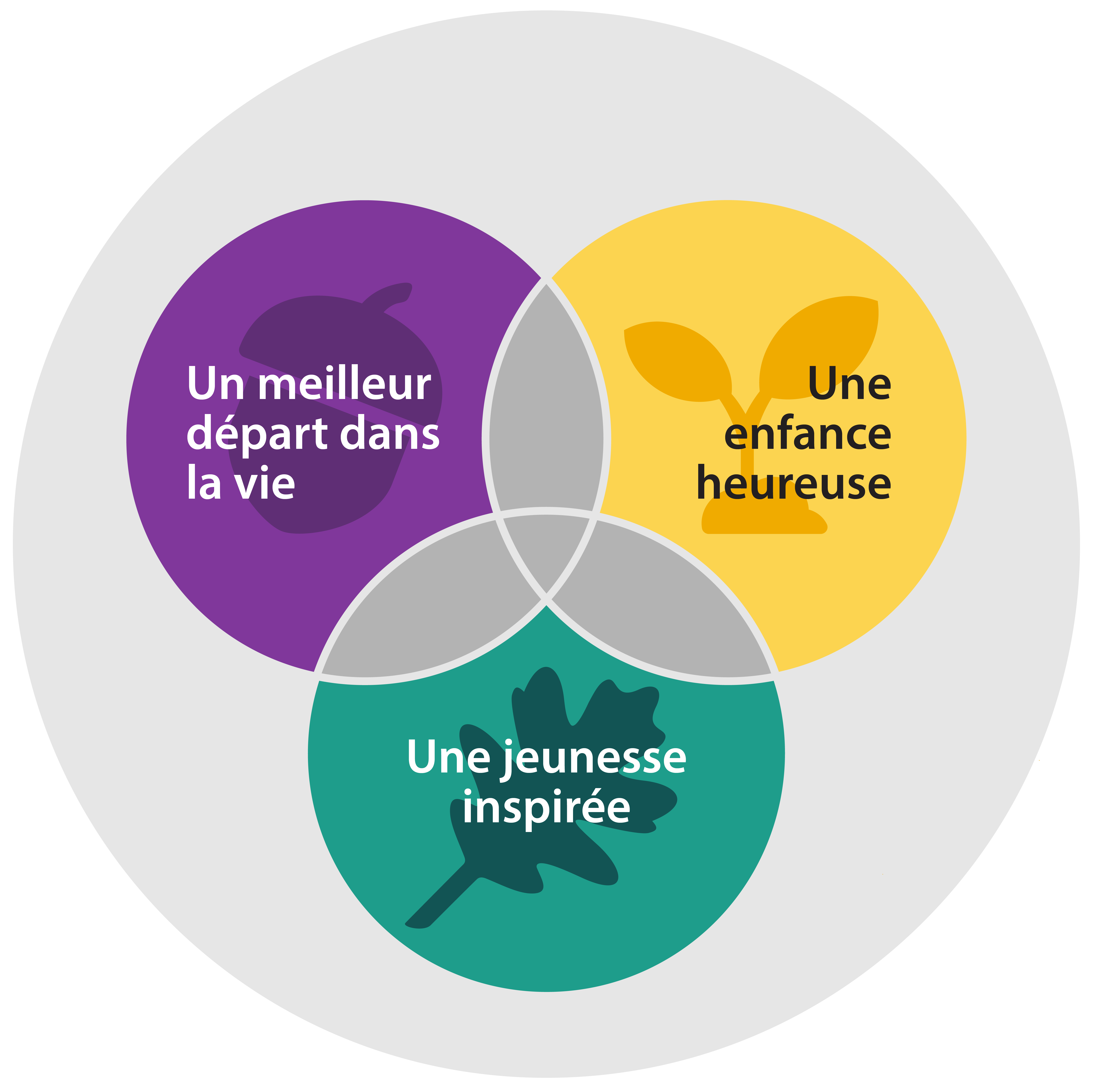 Trois cercles se chevauchent et forment un triangle représentant la vision de l'IDSEA : un meilleur départ dans la vie, une enfance heureuse et une jeunesse inspirée. Ce trio est entouré d'un plus grand cercle symbolisant les nombreux soutiens et facteurs supplémentaires qui encadrent ces trois domaines d'intérêt.