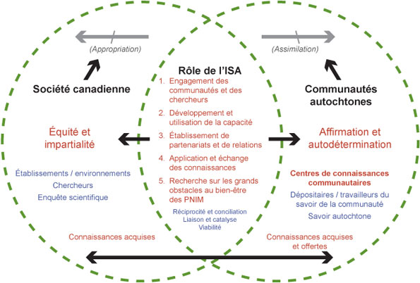 Figure 4 : Le double regard – Un modèle de progrès mutuel